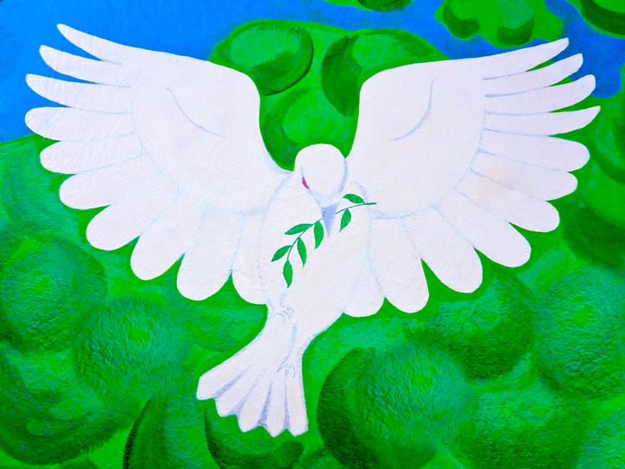 White Peace Dove copy